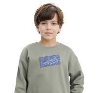COTTON EMBROIDERED SWEATSHIRT NIRET - DUSKY GREEN