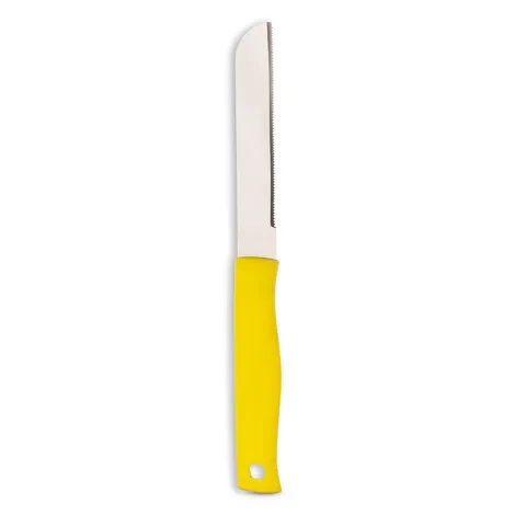 Stainless Steel Sharp Vegetable Knife